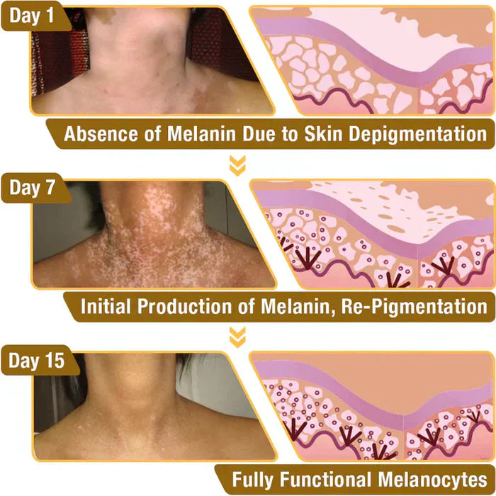 VitiGO" Revitalizing Bee Venom Cream – Natural Skin Restoration & Vitality