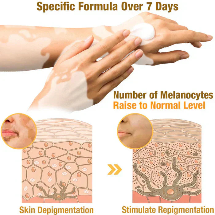 VitiGO" Revitalizing Bee Venom Cream – Natural Skin Restoration & Vitality
